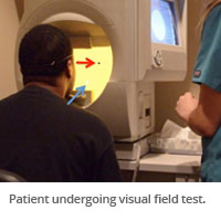 A vision field test